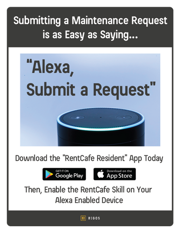 Alexa Flyer