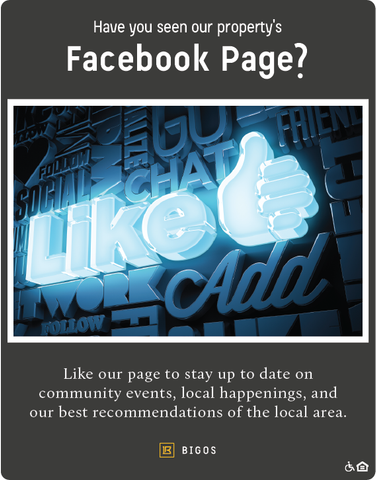 Facebook Flyer